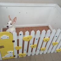 Recinto cani legno unico artigianale