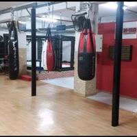 Locale adibito a Palestra A Rendita