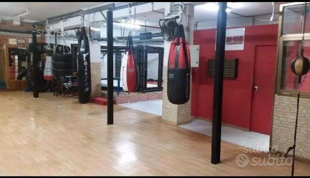 Palestra locale adibito a gym solo muri