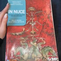 Libro in nuce di letteratura latina