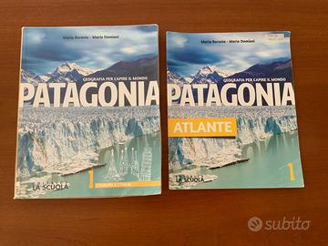 Libro 1 media geografia Patagonia