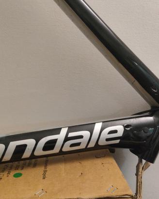 Telaio bici da strada