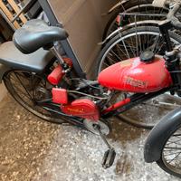 Bianchi Aquilotto