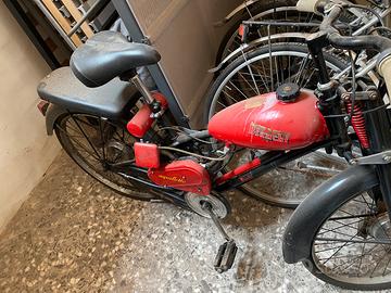 Bianchi Aquilotto
