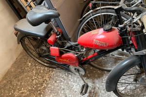 Bianchi Aquilotto