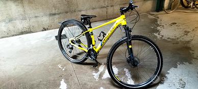 Mountain bike taglia s  lady 