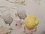 Immagine 4