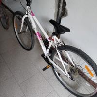 bici mbt