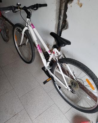 bici mbt