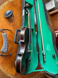 violino