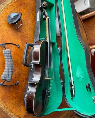 violino