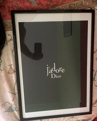QUADRI DI DIOR