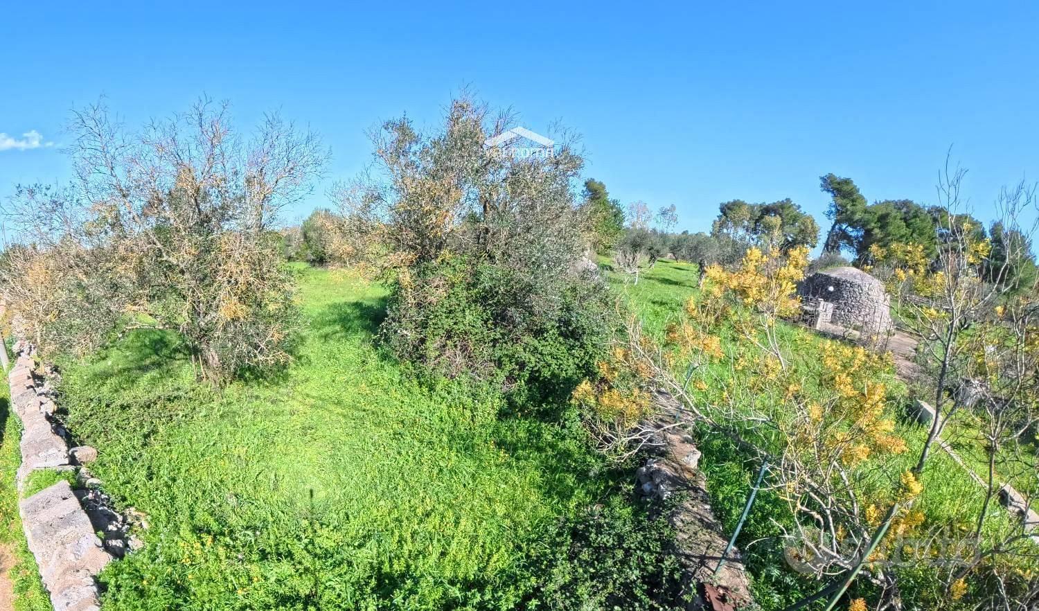 Terreno edificabile - Castrignano de' Greci - Vista 2