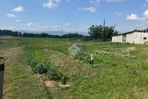 TER. AGRICOLO A PONTE BUGGIANESE