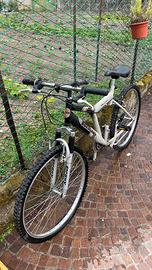 Mountain bike anni ’90, telaio leggero.
