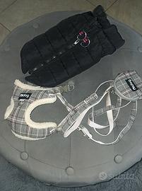 accessori per cani piccola taglia 