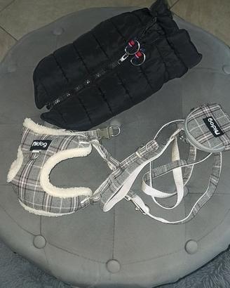 accessori per cani piccola taglia 