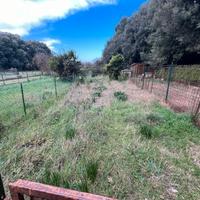 Appartamento con garage e giardino (orto)