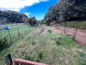 Appartamento con garage e giardino (orto)