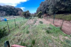 Appartamento con garage e giardino (orto)