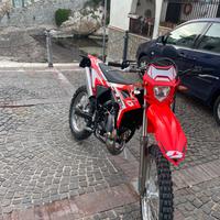 Beta RR 50 - 2023