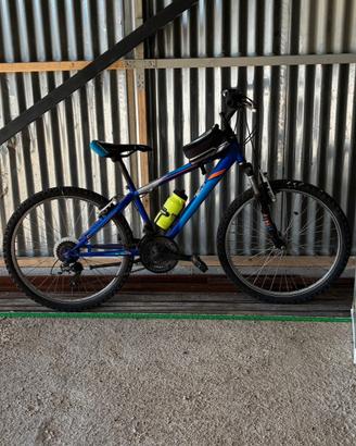 Bici ragazzo 24"