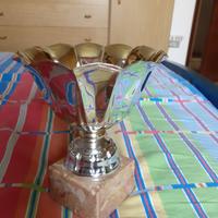 Coppa / Trofeo in metallo er eventi sportivi