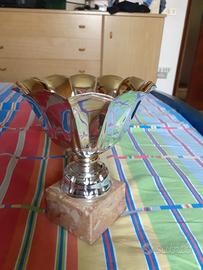 Coppa / Trofeo in metallo er eventi sportivi