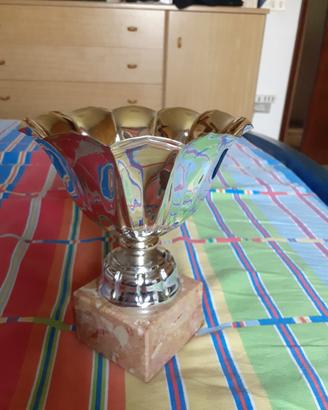 Coppa / Trofeo in metallo er eventi sportivi