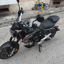 lem brutus 110