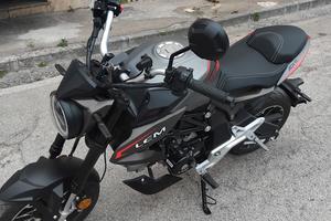 lem brutus 110