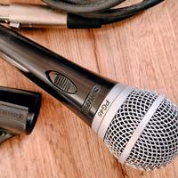 Shure PG48 microfono 