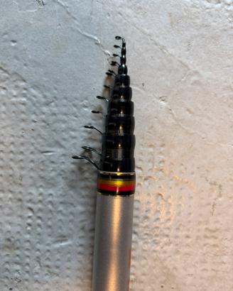 Bolognese 11 metri peso 600 gammi !