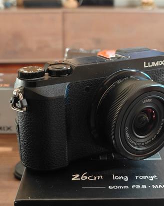 Panasonic Lumix GX 80