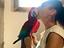 Immagine 4