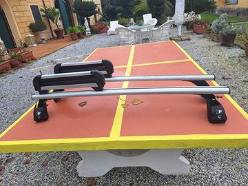 Barre porta tutto con porta sci