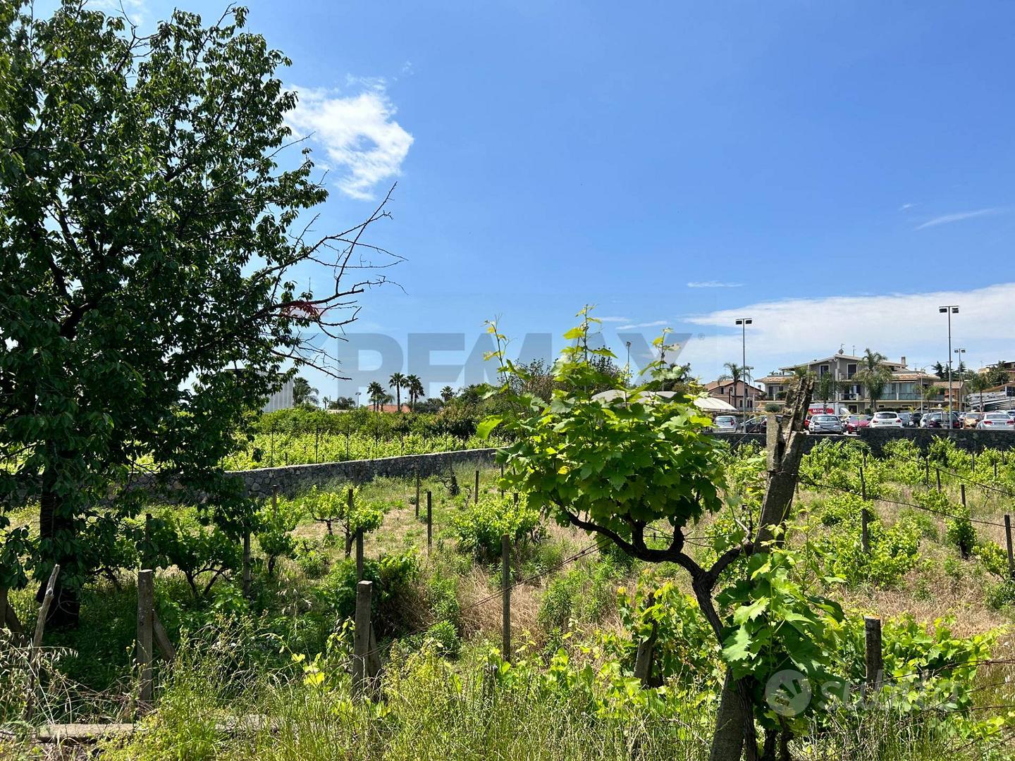 Terreno - Aci Sant'Antonio - Vista 4