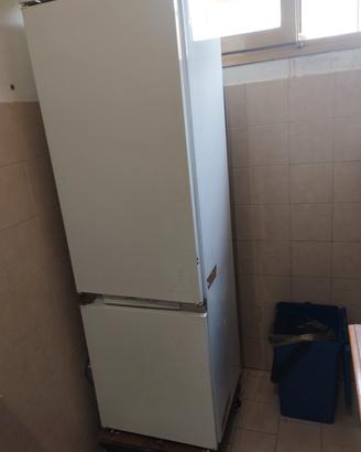 frigo 