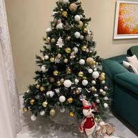 Albero di Natale 210x150 (hxl)