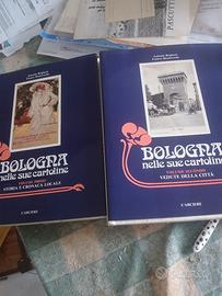 Bologna nelle sue cartoline