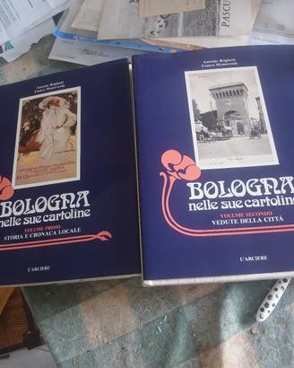 Bologna nelle sue cartoline