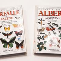 LIBRI ILLUSTRATI - collana Guarda e Scopri (LOT 3)