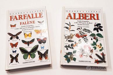 LIBRI ILLUSTRATI - collana Guarda e Scopri (LOT 3)