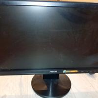 Monitor per pc Asus 17 pollici