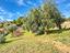 Immagine 25
