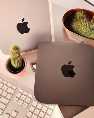 MAC MINI 2018 • i5 6-CORE • 64GB•512GB SSD Apple