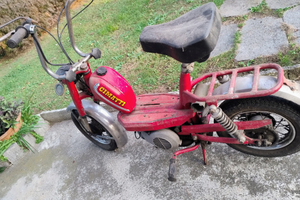 Motociclo Cimatti
