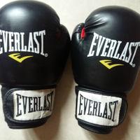 Guantoni boxe pugilato Everlast