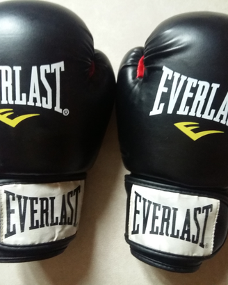 Guantoni boxe pugilato Everlast