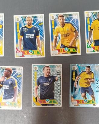 carte adrenalyn xl Hellas verona